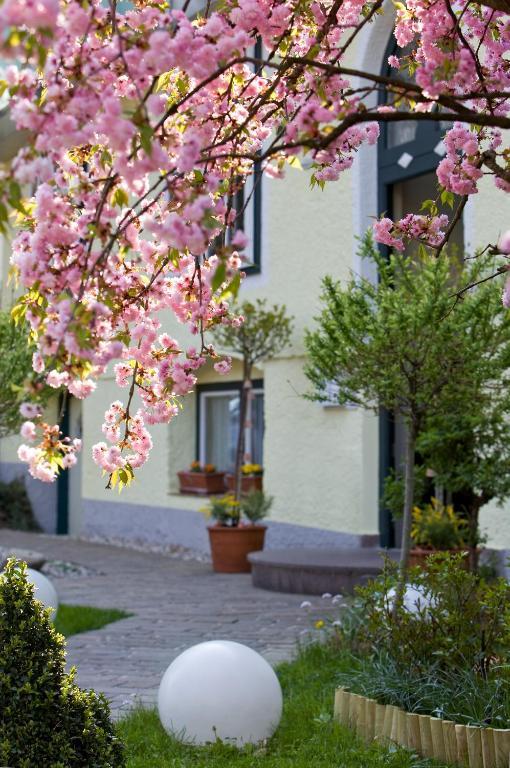 Rosenvilla Salzbourg